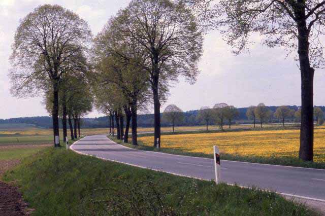 country road, vilseck